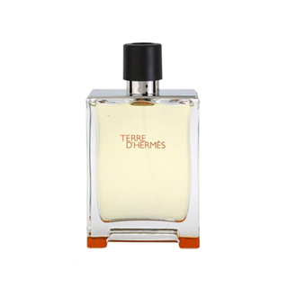 عطر ادکلن مردانه تق هرمس -  Terre d’Hermes 100ml